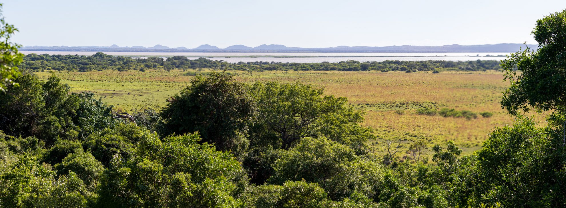 PANORÁMICAS