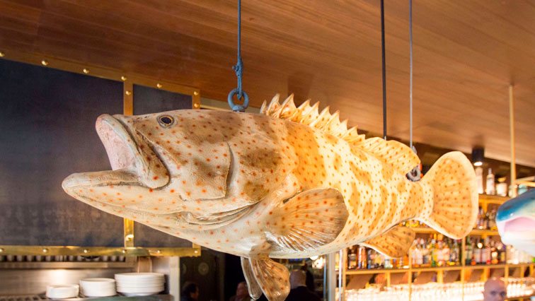 RESTAURANTE PEZ FUEGO