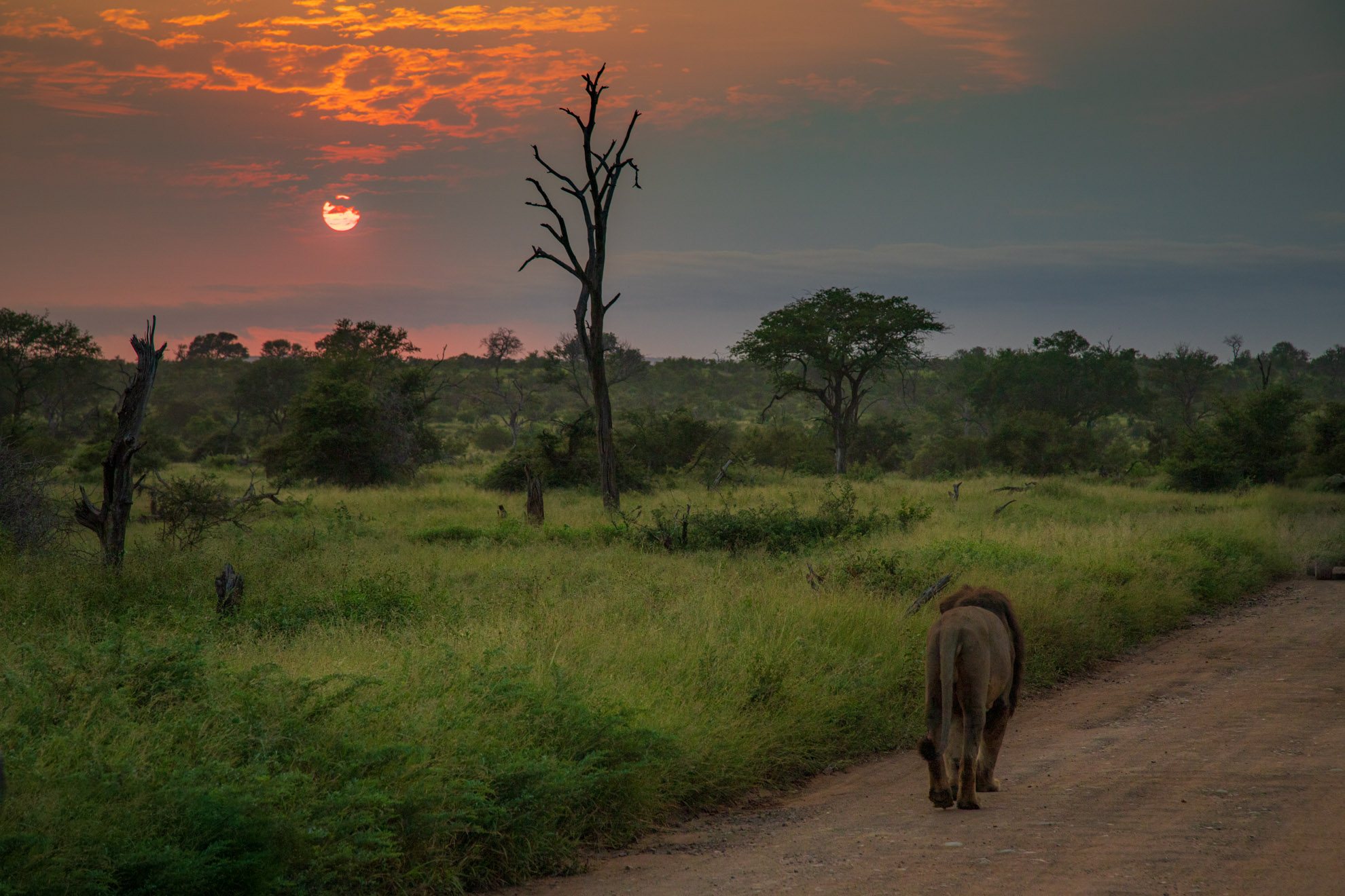SUDÁFRICA