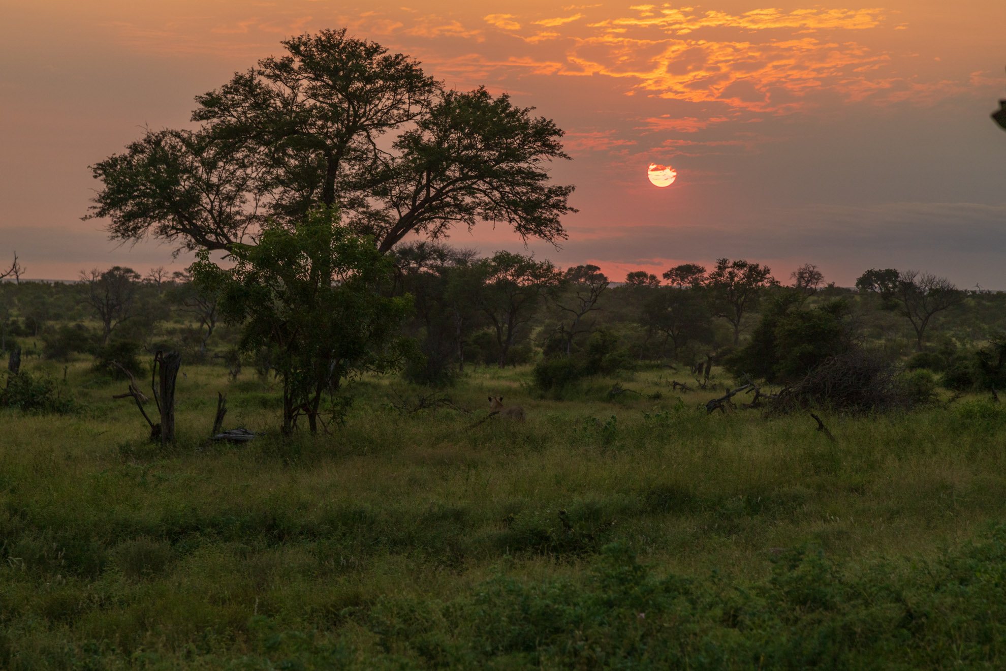 SUDÁFRICA