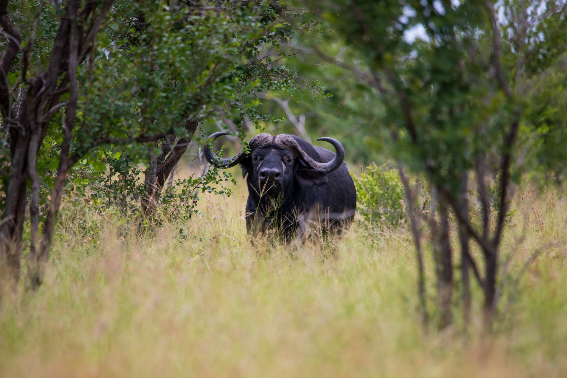 SUDÁFRICA