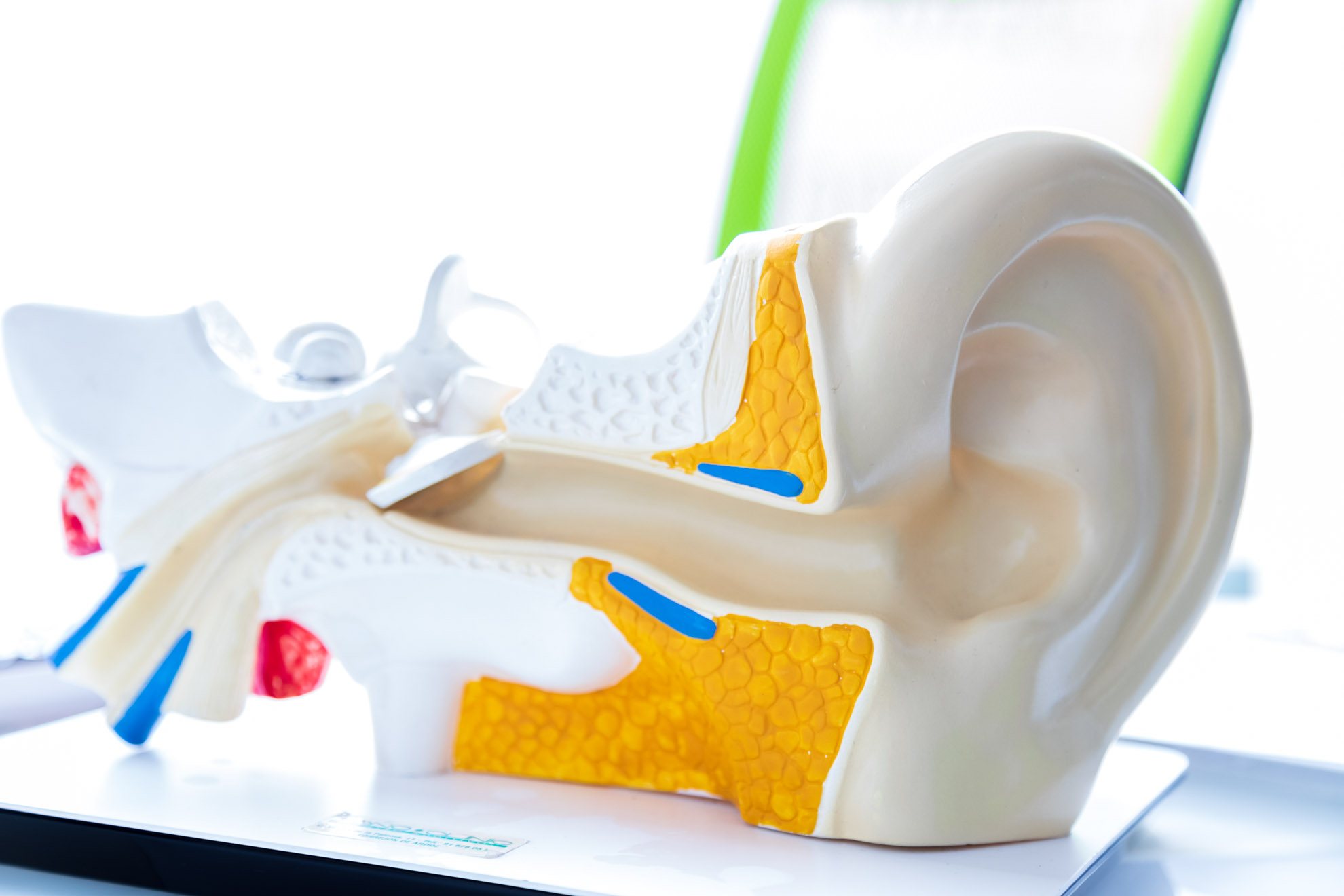 SONOCLINIC