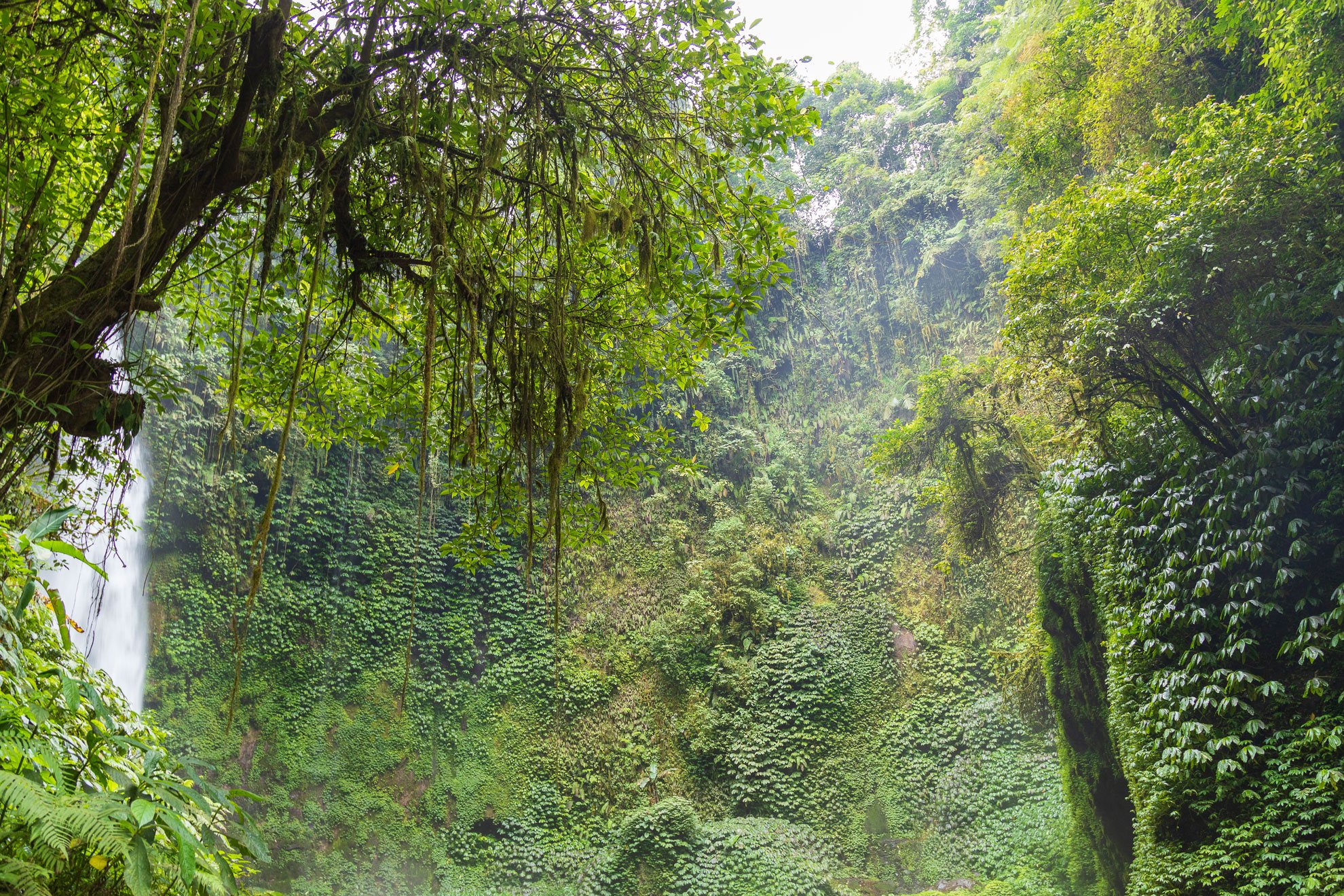 INDONESIA