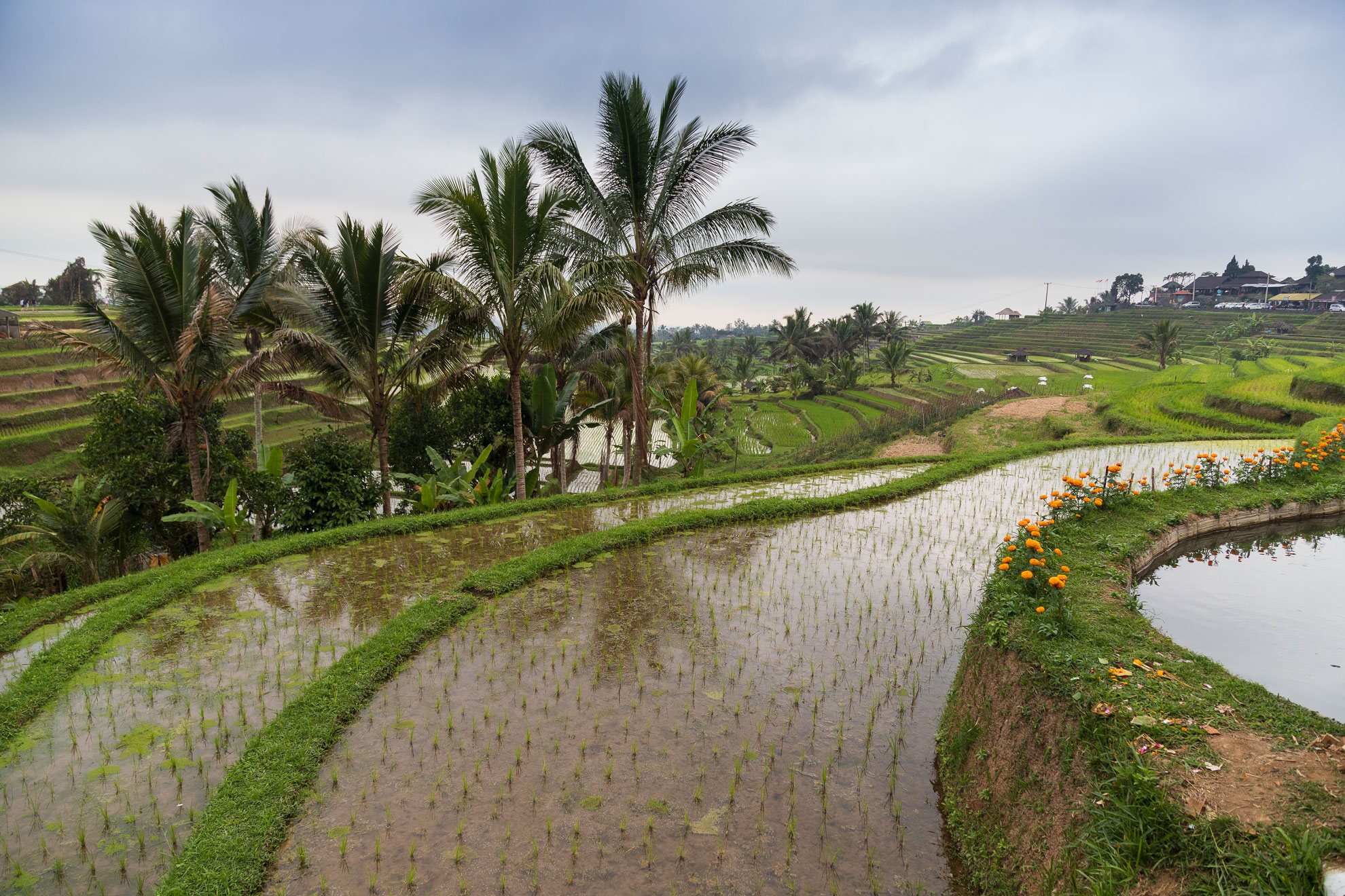 INDONESIA