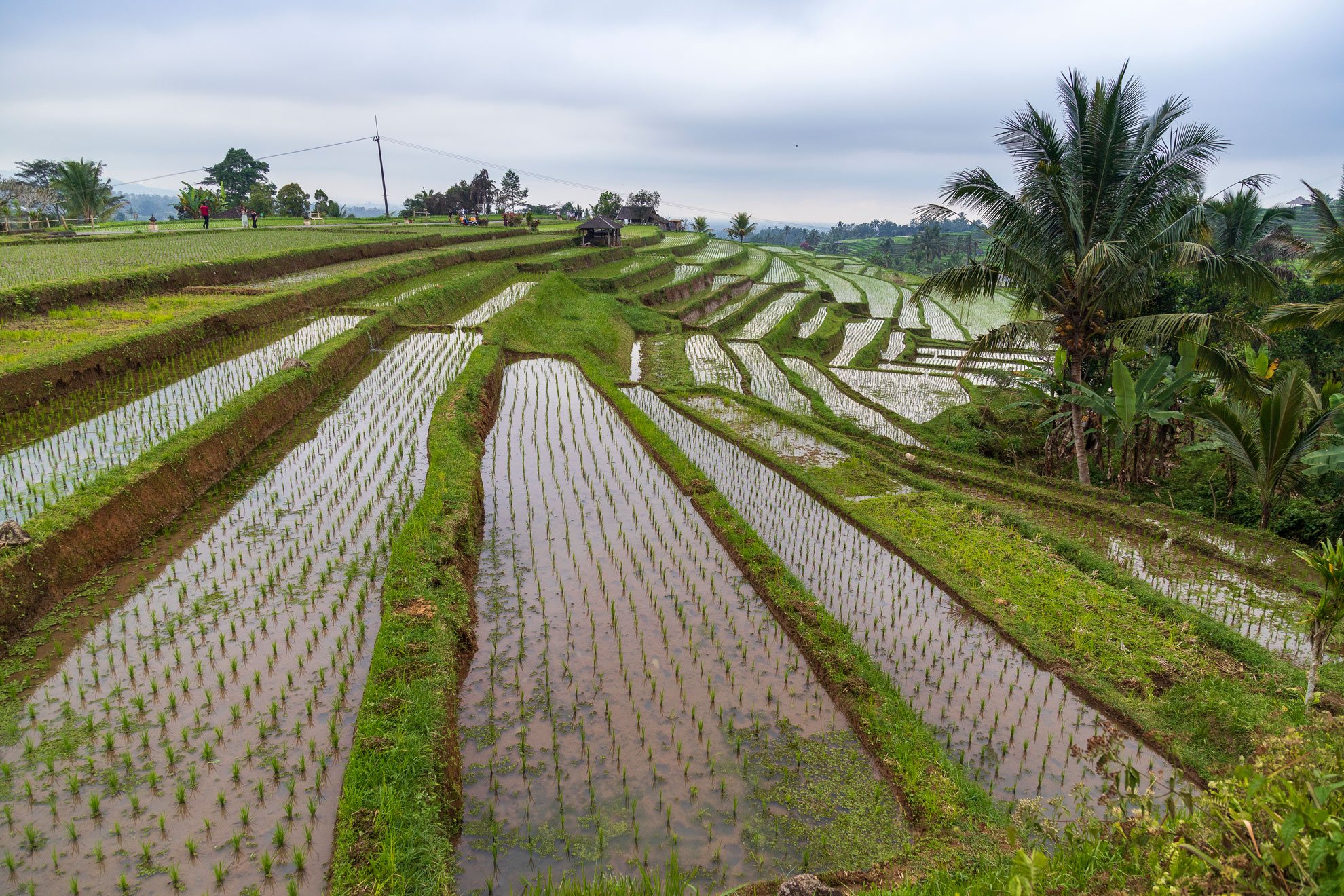 INDONESIA