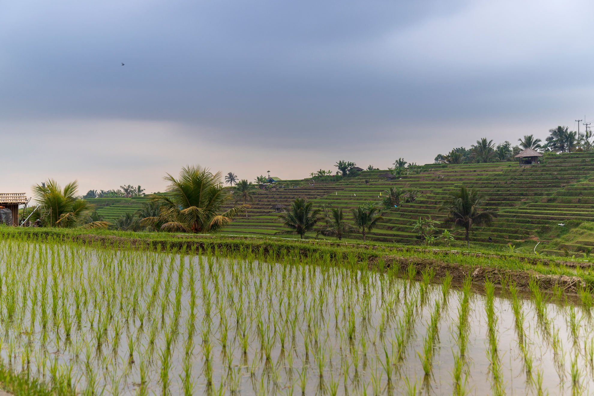 INDONESIA
