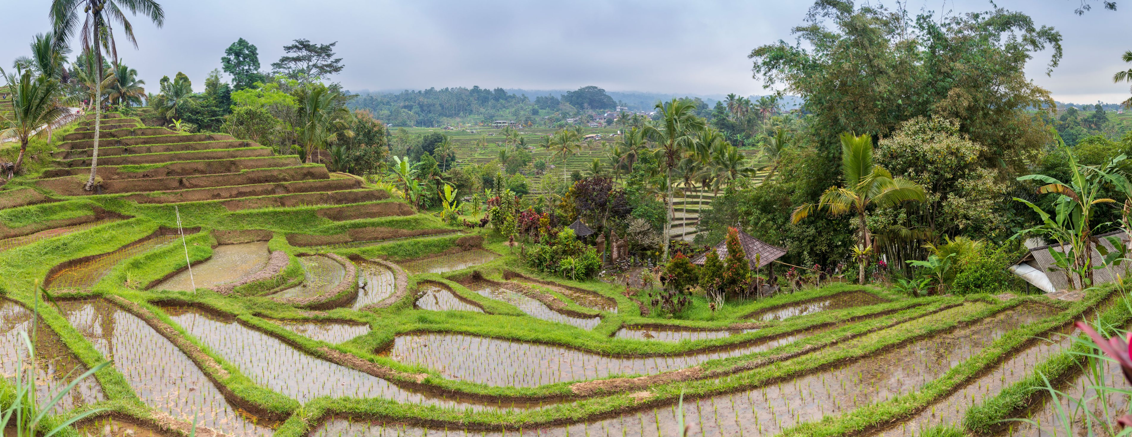 INDONESIA